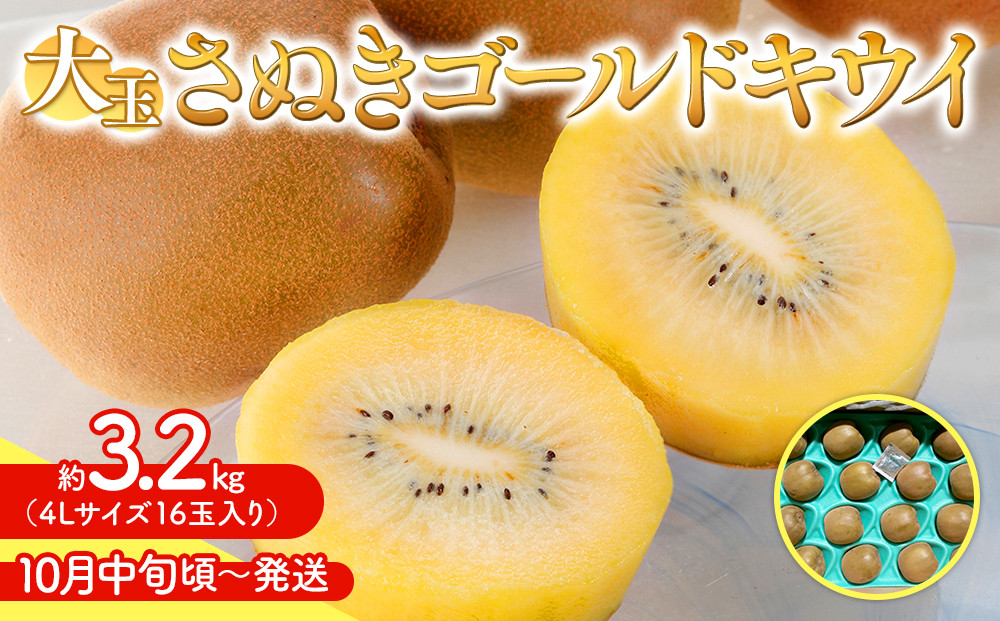 さぬきゴールド&nbsp;キウイ&nbsp;大玉&nbsp;約&nbsp;3.2kg&nbsp;キウイフルーツ&nbsp;【10月中旬頃～発送】