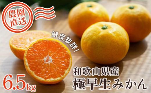 極早生みかん&nbsp;約6.5kg&nbsp;大小混合&nbsp;《ご家庭用》ちょっと訳あり&nbsp;和歌山県より農園直送！まごころ産直みかん【北海道・沖縄県・一部離島&nbsp;配送不可】混合サイズ&nbsp;ミカン&nbsp;蜜柑&nbsp;温州みかん&nbsp;わけあり&nbsp;訳アリ［Mg2］