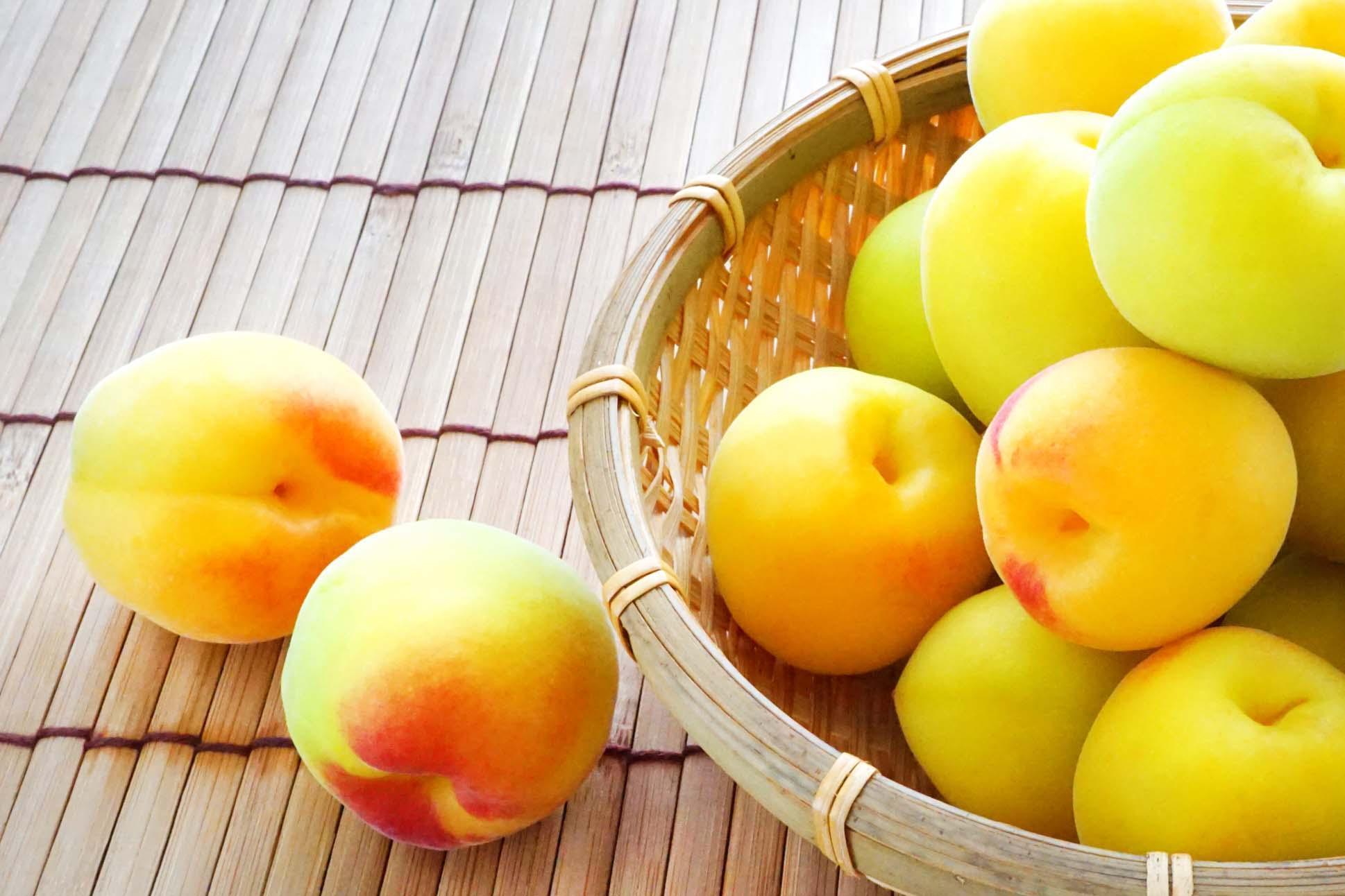 ［梅干・梅酒用］大玉4Lサイズ約2kg&nbsp;熟南高&nbsp;生梅&nbsp;赤秀品＜2026年6月上旬～7月7日発送予定＞［ART01］