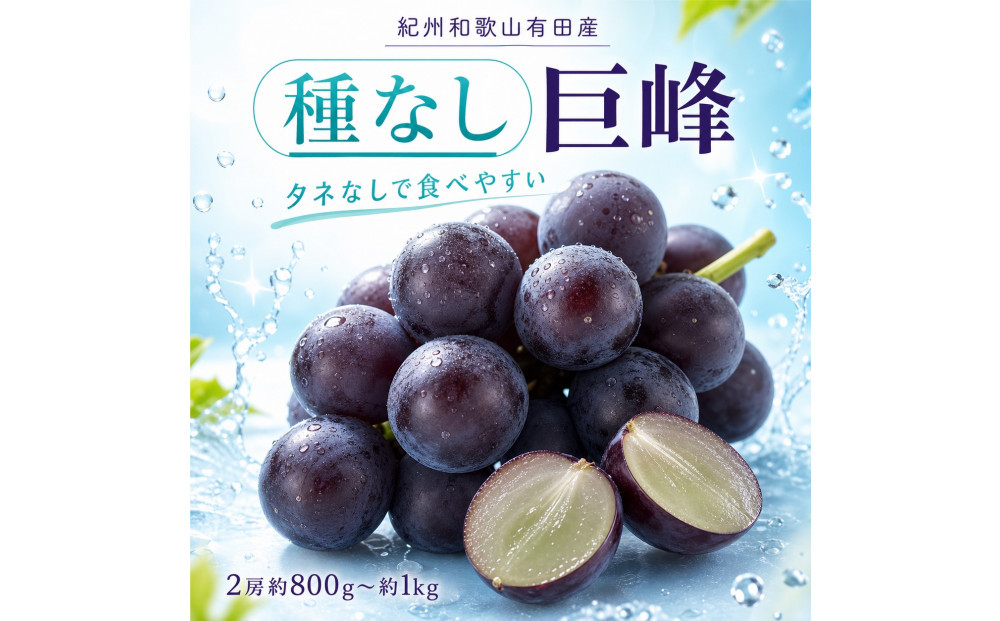 紀州有田産の種なし巨峰ぶどう２房（約800g〜1kg）【2026年発送&nbsp;先行予約】