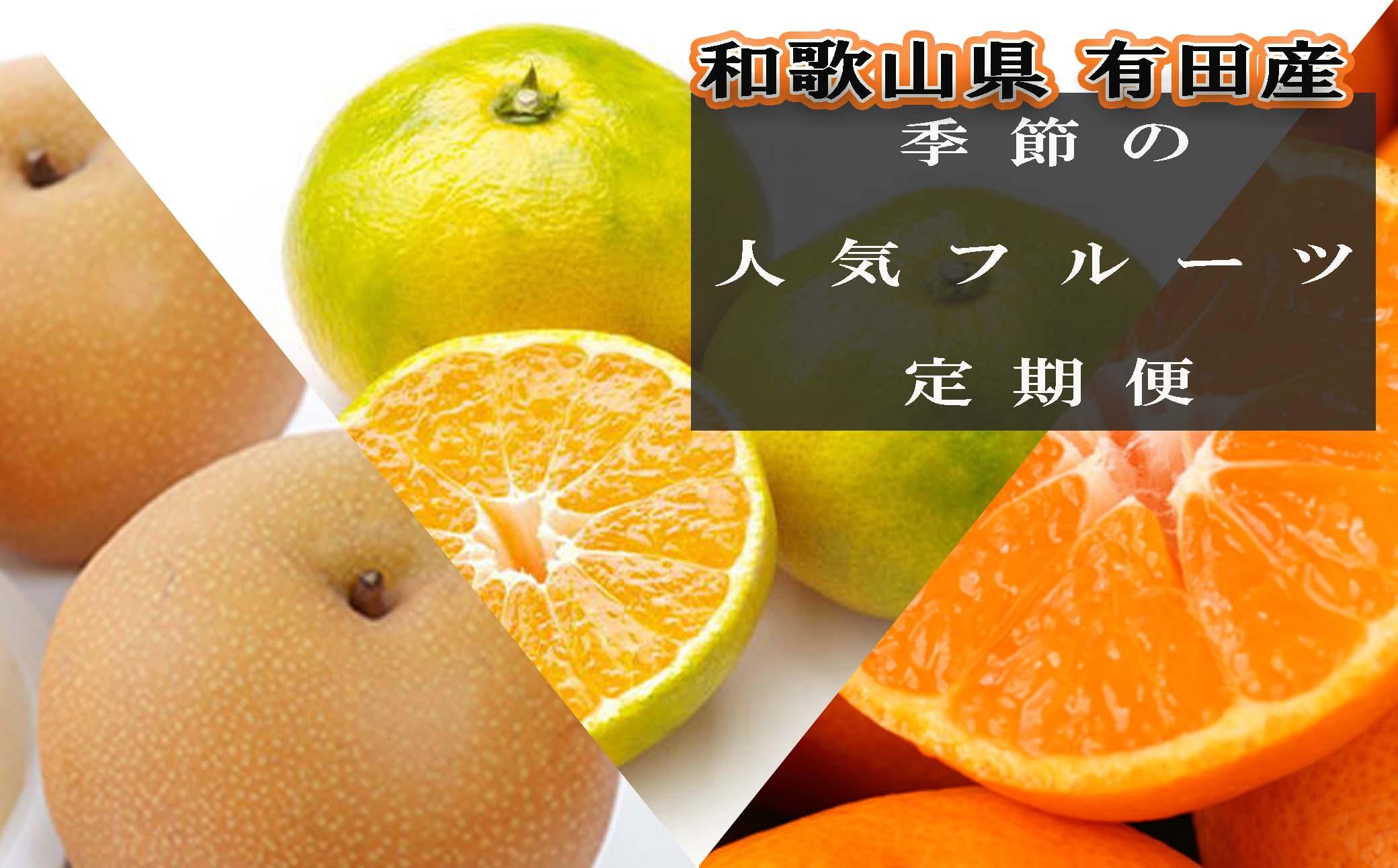 定期便全3回【8月・10月・12月発送】和歌山有田産の季節のフルーツ定期便（梨・ゆら早生みかん・賢みかん）