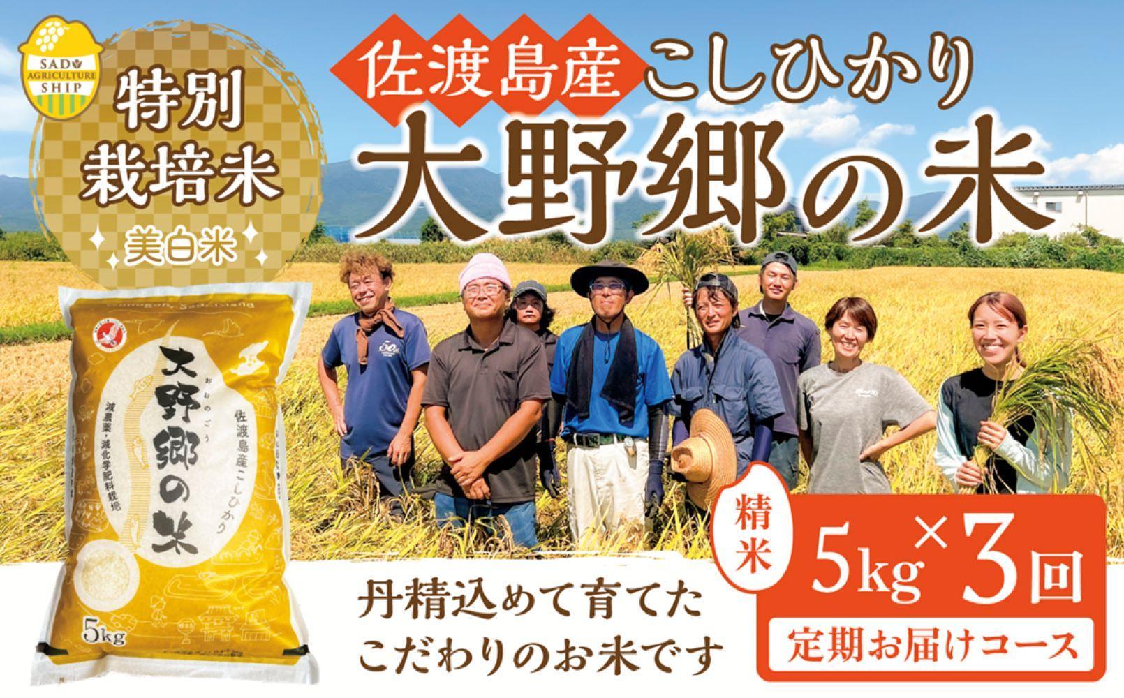 【令和６年産新米】佐渡島産 特別栽培米こしひかり「大野郷の米」精米5kg×３回 定期お届けコース