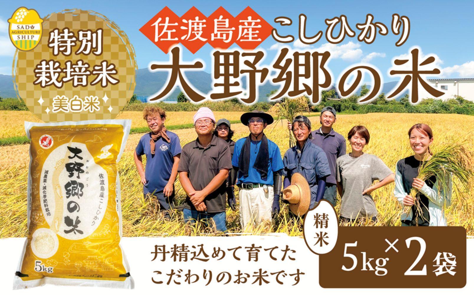 【令和６年産新米】佐渡島産 特別栽培米こしひかり「大野郷の米」精米5kg×2袋