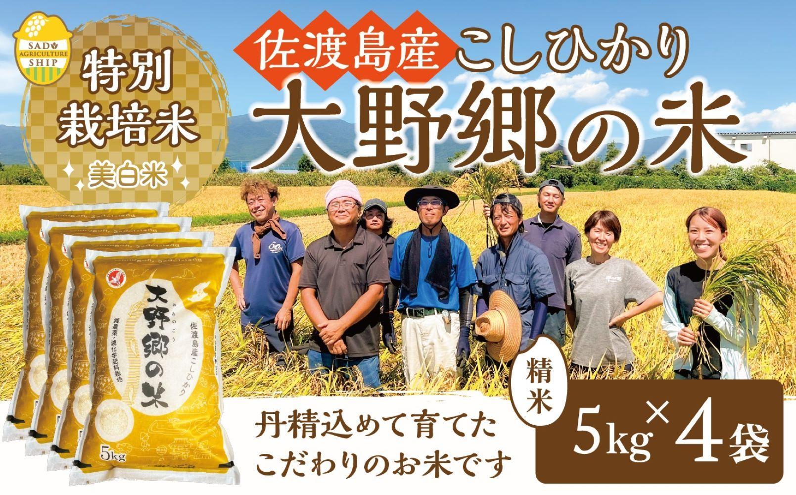 【令和６年産新米】佐渡島産 特別栽培米こしひかり「大野郷の米」精米5kg×4袋