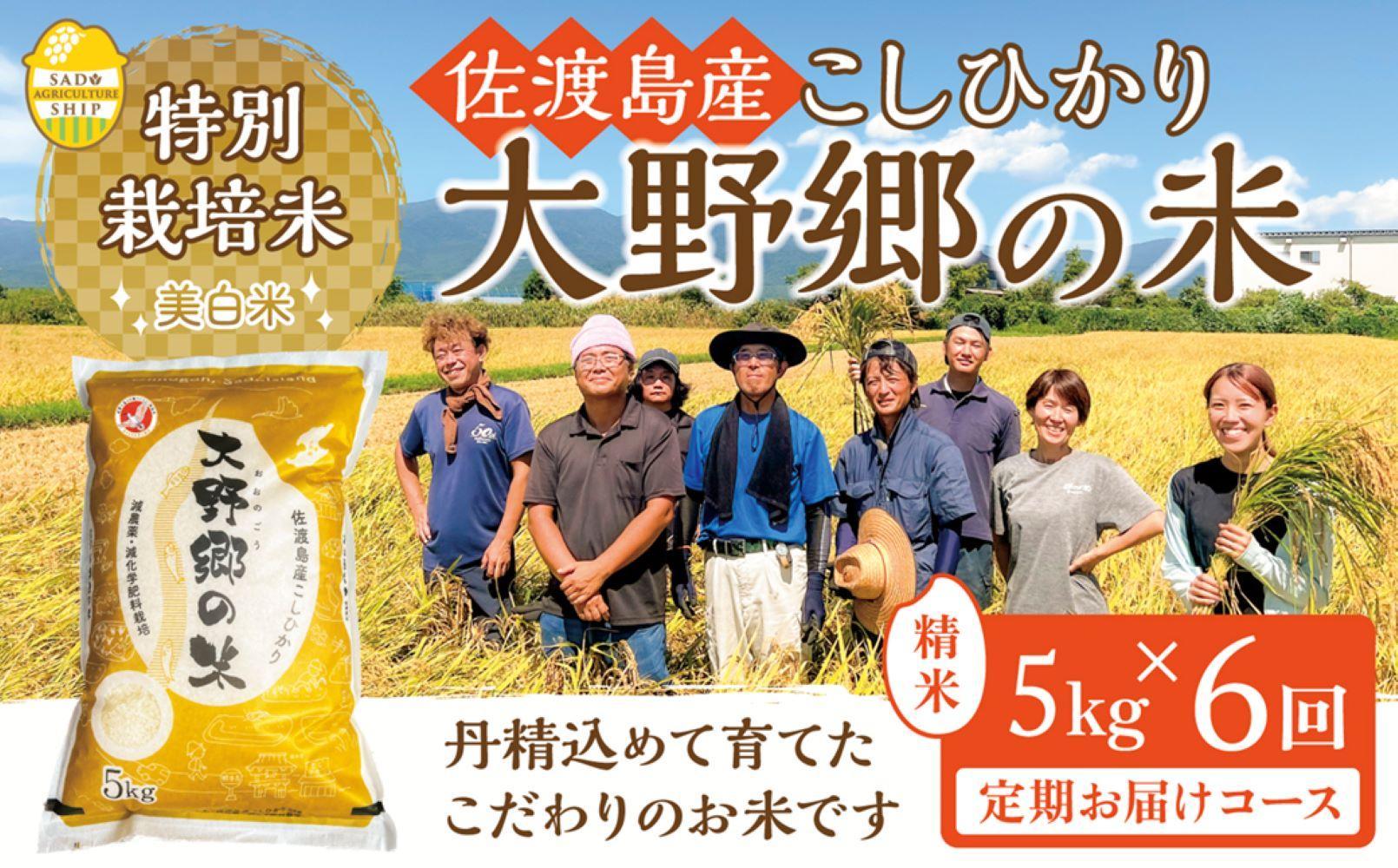 【令和６年産新米】佐渡島産 特別栽培米こしひかり「大野郷の米」精米5kg×6回 定期お届けコース