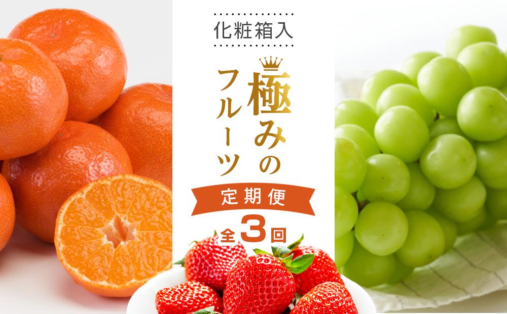 【全3回】極みのフルーツ定期便&nbsp;(化粧箱入り)