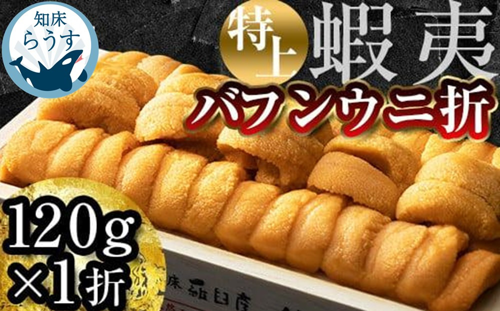 ＜先行受付＞＜27年1月～6月内発送＞エゾバフンウニ　折うに(特上)120×1枚