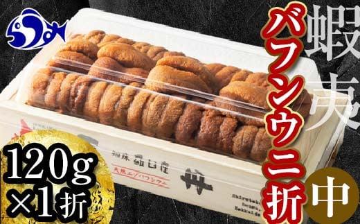 【先行予約】北海道知床羅臼産 天然エゾバフンうに（中）うに折  120g×1枚　2025年1月中旬から発送