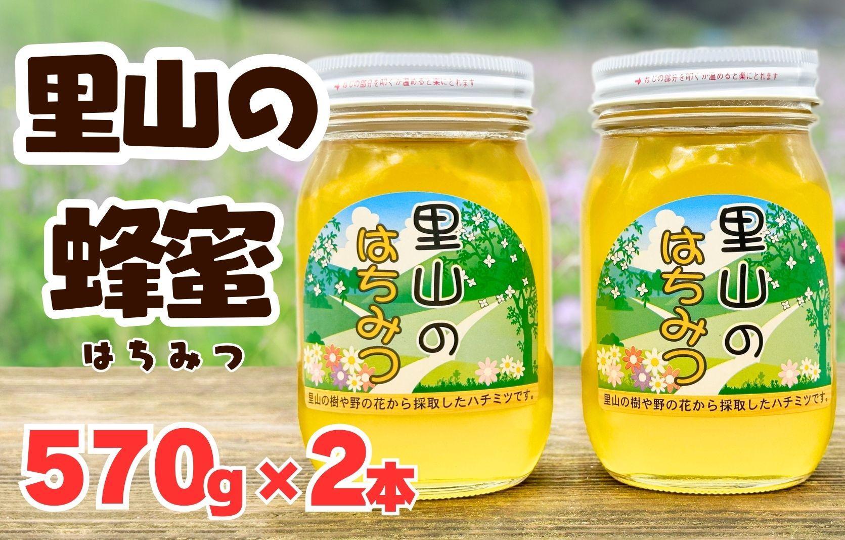 ありだ里山の蜂蜜 570g×2本セット 化粧箱入り