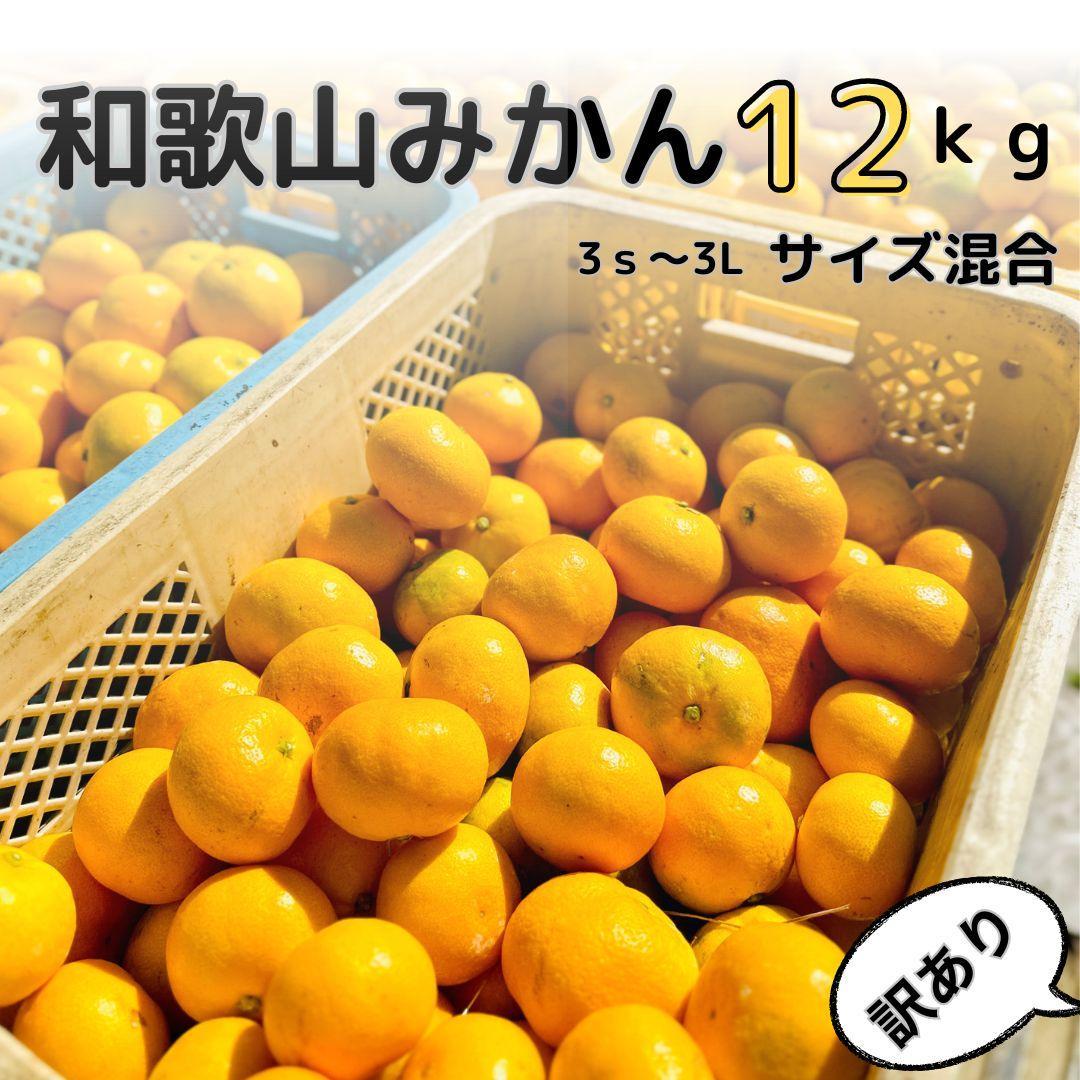 【訳あり】和歌山みかん約11kg+補償分約1kg サイズ混合 11月より順次発送 訳ありみかん 【red2】