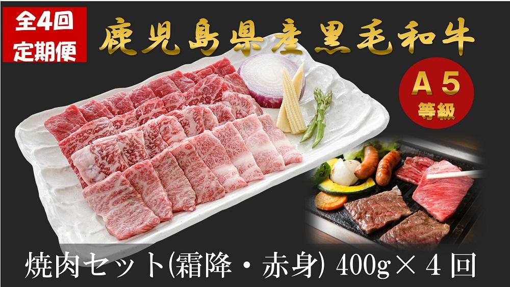 【ふるさと納税】【定期便/全４回】　焼肉大好き　 A5等級　鹿児島県産黒毛和牛焼肉セット