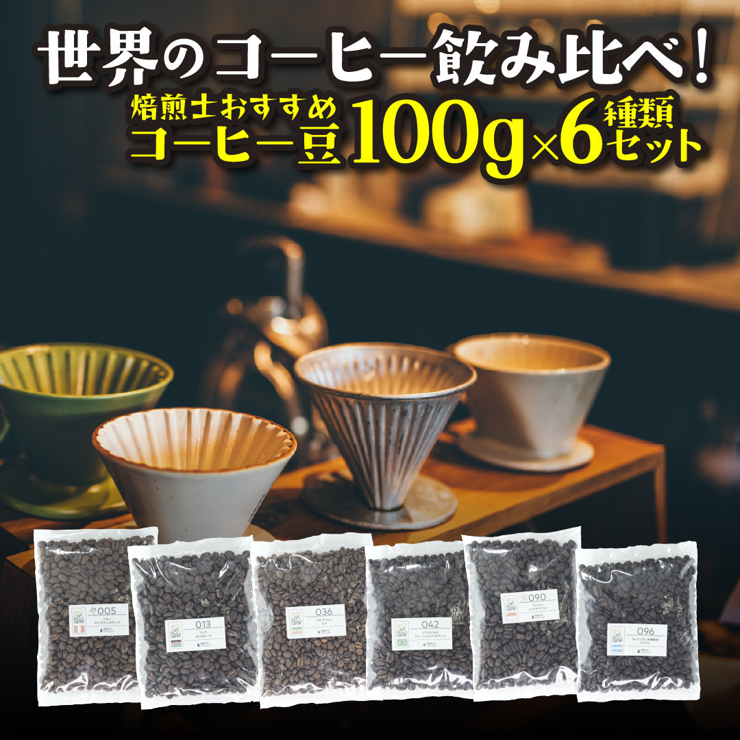 [粉]コーヒー豆 100g×6種類セット 合計600g 注文後焙煎