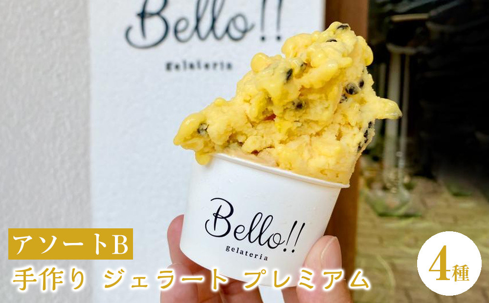 【無添加・無着色】手作り&nbsp;ジェラート&nbsp;プレミアムアソート&nbsp;B｜野洲市&nbsp;手作りジェラート&nbsp;無添加&nbsp;無着色&nbsp;自然素材&nbsp;滋賀県産&nbsp;スイーツ&nbsp;デザート&nbsp;冷凍&nbsp;お取り寄せ&nbsp;通販&nbsp;ふるさと納税｜