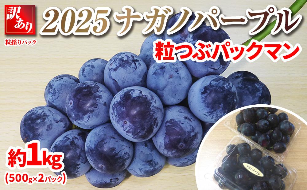 2025　ナガノパープル　粒つぶパックマン【訳ありパック】2パック　約1キロ　長野県産&nbsp;&nbsp;【10月初旬頃～順次発送予定】国際特許有機肥料栽培｜&nbsp;訳あり&nbsp;果物&nbsp;フルーツ&nbsp;ぶどう&nbsp;&nbsp;種なし&nbsp;&nbsp;人気&nbsp;おすすめ&nbsp;葡萄&nbsp;ブドウ&nbsp;ギフト&nbsp;送料無料&nbsp;長野県&nbsp;大町市