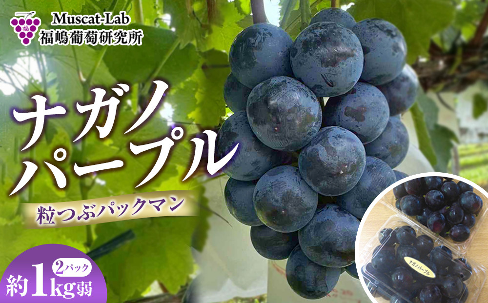 【先行予約】2026　ナガノパープル　粒つぶパックマン2パック　約1kg弱　長野県産&nbsp;&nbsp;【10月初旬頃～順次発送予定】国際特許有機肥料栽培