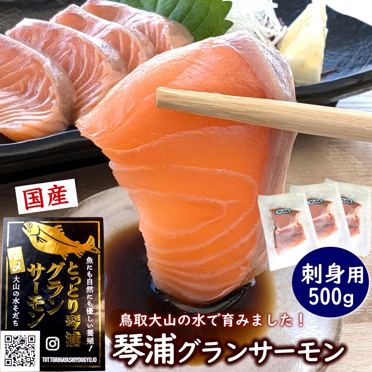 サーモン 琴浦 グランサーモン 500g ( 3-5パック ) 刺身用 小分け 生食 国産 陸上養殖 刺身 刺し身 さしみ 冷凍 鮭 サケ 魚 さかな 海鮮 魚介類 鳥取 人気 おすすめ 真空 個包装