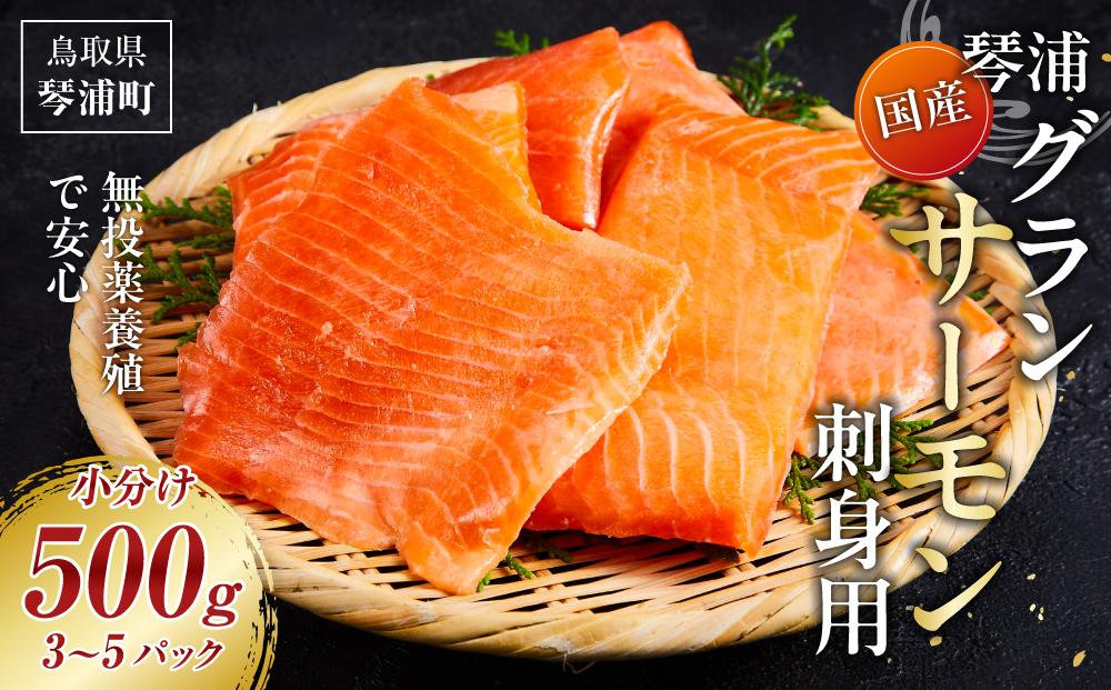 サーモン 琴浦 グランサーモン 500g ( 3-5パック ) 刺身用 小分け 生食 国産 陸上養殖 刺身 刺し身 さしみ 冷凍 鮭 サケ 魚 さかな 海鮮 魚介類 鳥取 人気 おすすめ 真空 個包装