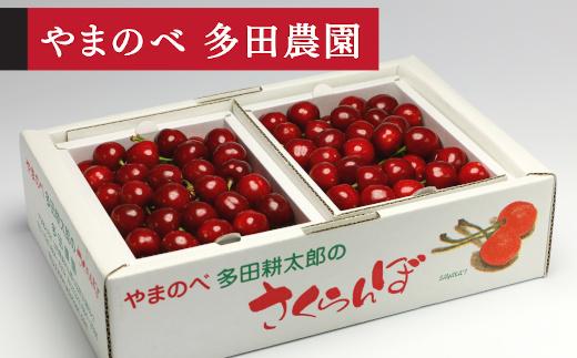 【紅さやか】 バラ詰 M~L 500g×2【やまのべ多田耕太郎のさくらんぼ 多田農園】