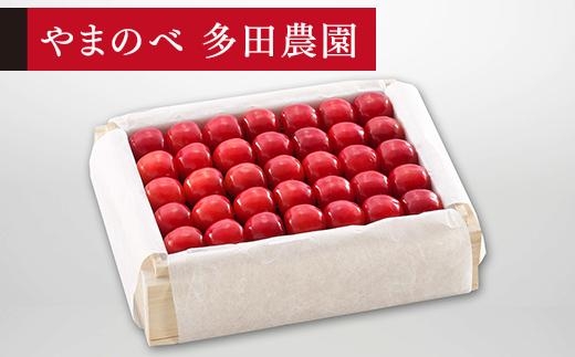 【特選佐藤錦】桐箱詰 約500g【やまのべ多田耕太郎のさくらんぼ 多田農園】