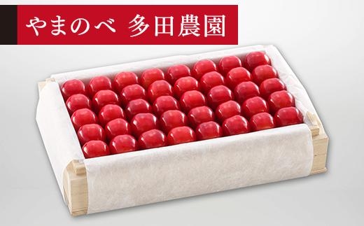 【特選佐藤錦】桐箱詰 約700g【やまのべ多田耕太郎のさくらんぼ 多田農園】