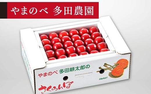 【真夏のルビー紅姫】本詰 約500g【やまのべ多田耕太郎のさくらんぼ 多田農園】