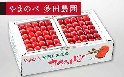 【真夏のルビー紅姫】本詰 約500g×2【やまのべ多田耕太郎のさくらんぼ 多田農園】