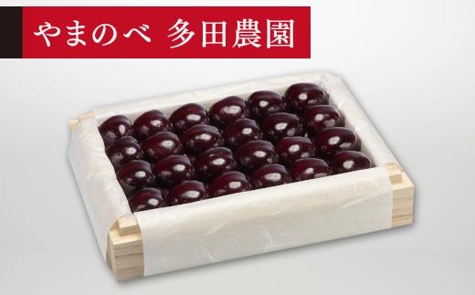 【特選サミット】桐箱詰 約300g【やまのべ多田耕太郎のさくらんぼ 多田農園】