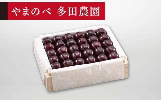 【特選サミット】桐箱詰 約500g【やまのべ多田耕太郎のさくらんぼ 多田農園】