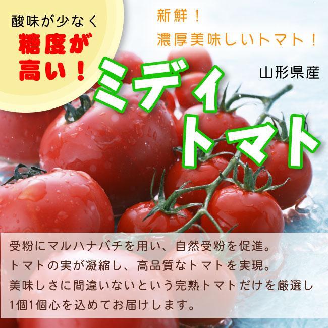 【令和7年産先行受付】山形県中山町産ミディトマト＜シンディスイート＞約2kg