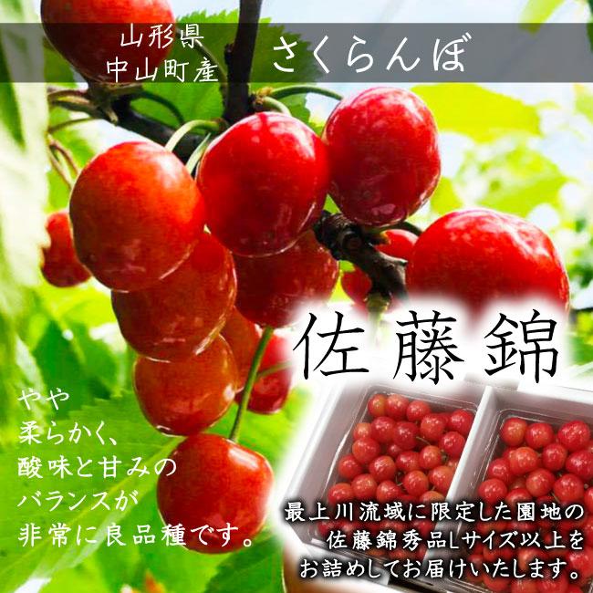 【令和7年産先行受付】山形県中山町産 さくらんぼ＜佐藤錦＞特秀品　350g×2P約700g　Lサイズ以上