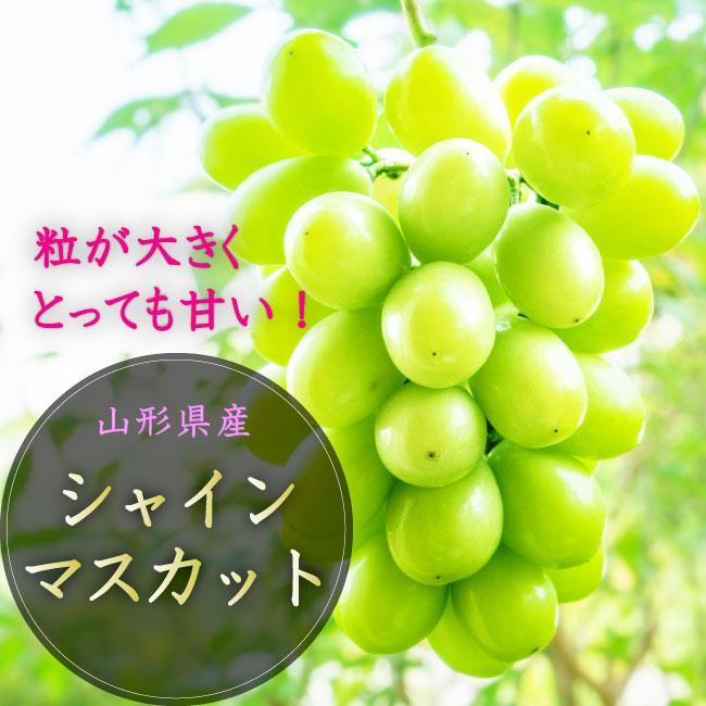 【令和7年産先行受付】山形県中山町産大房大粒シャインマスカット秀品約700g～800g