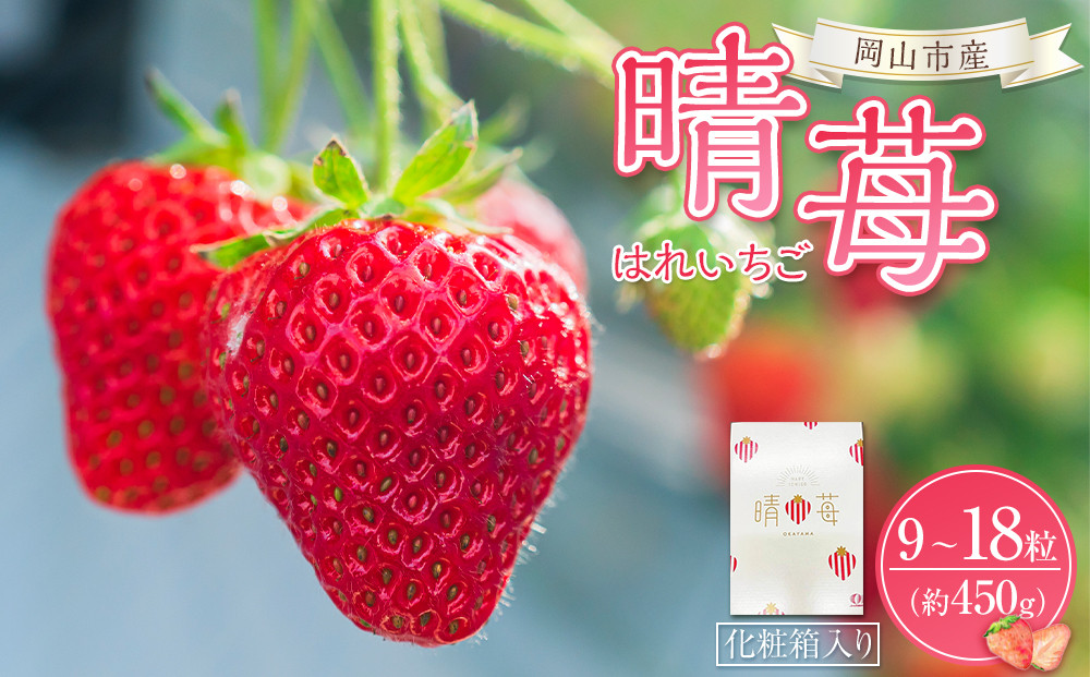 岡山市産&nbsp;晴苺&nbsp;9～18粒&nbsp;約450g&nbsp;化粧箱入り＜2025年12月中旬以降発送＞