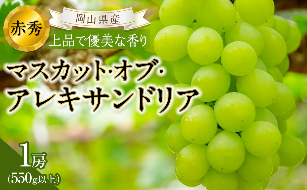 ぶどう&nbsp;2026年&nbsp;岡山県産&nbsp;マスカット・オブ・アレキサンドリア&nbsp;1房&nbsp;&nbsp;赤秀&nbsp;550g以上