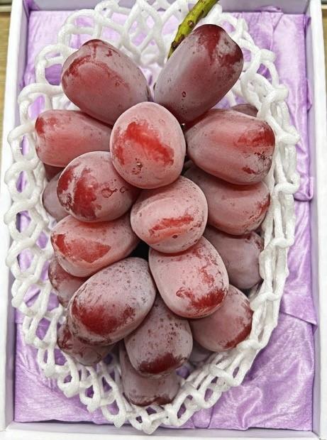 2026年 岡山県産 ブラックシャインマスカット 1房 600g以上 種無し