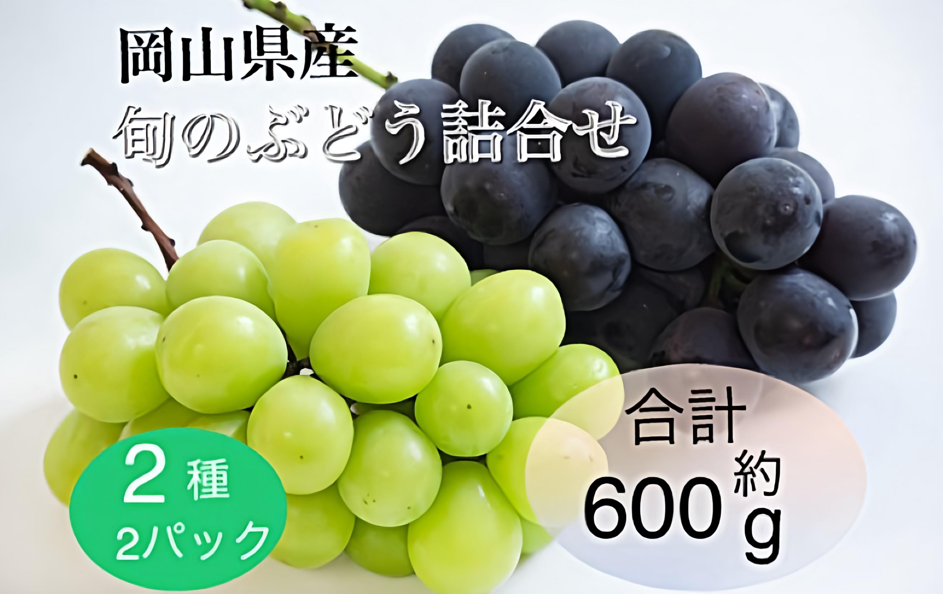 岡山県産 旬のぶどう詰合せ 2種 2パック(ニューピオーネ1房 約300g×1P・シャインマスカット晴王1房 約300g×1P)セット