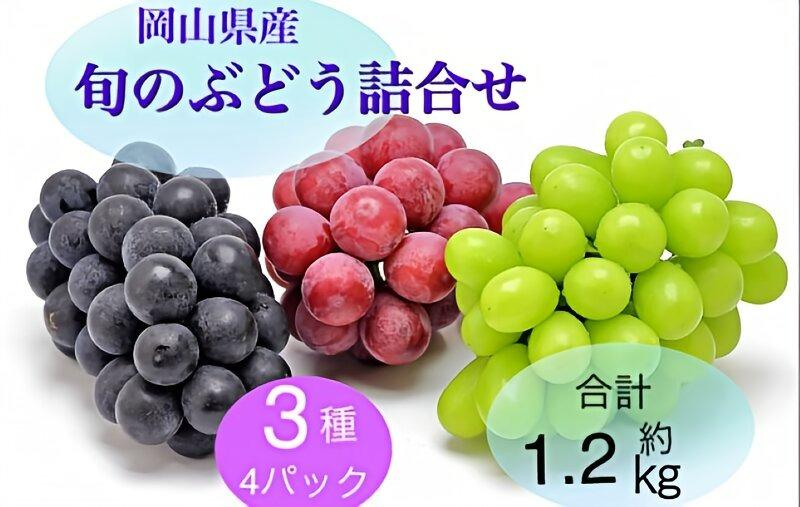 岡山県産 旬のぶどう詰合せ 3種 4パック(ニューピオーネ1房 約300g×1P・シャインマスカット晴王1房　約300g×2P・旬のぶどうお任せ1房 約300g×1P)セット