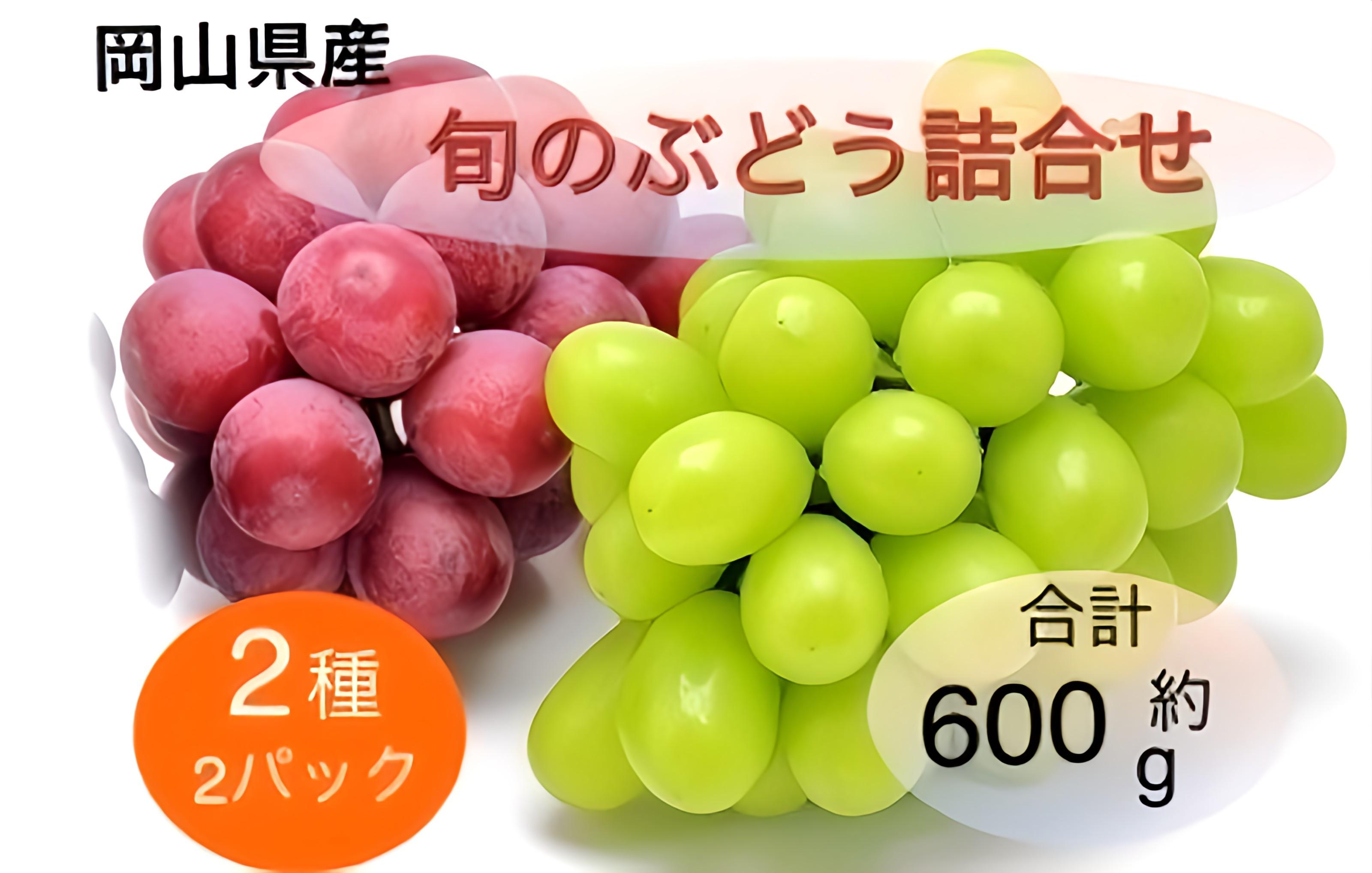 2025年 先行予約 岡山県産 旬のぶどう詰合せ 2種 2パック(シャインマスカット晴王 1房 約300g×1P、旬のぶどうお任せ 1房 約300g×1P)セット