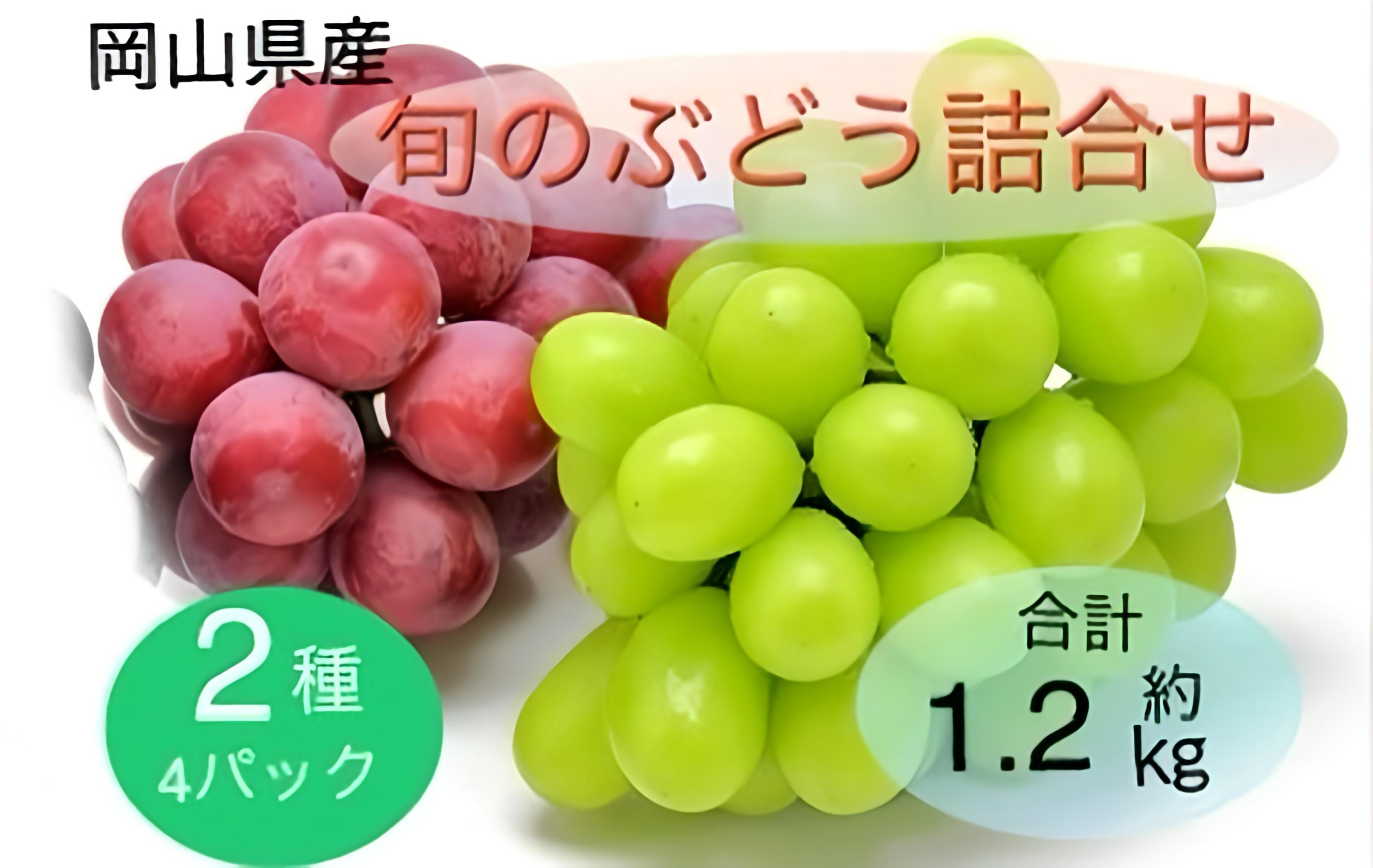 2025年 先行予約 岡山県産 旬のぶどう詰合せ 2種 4パック(シャインマスカット 晴王 1房 約300g×2P、旬のぶどうお任せ 1房 約300g×2P)セット