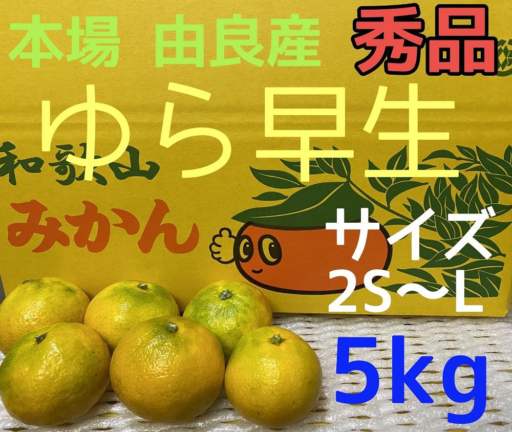 【秀品】ゆら早生 5kg 2S~L和歌山 由良産