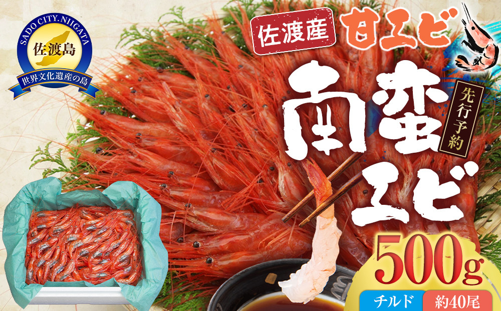 【先行予約】【令和8年2月上旬以降発送】佐渡産 南蛮エビ（甘エビ）チルド 500g（約40尾）