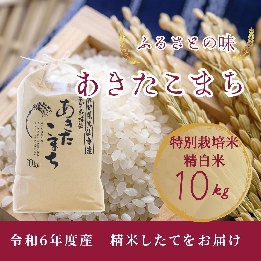 【11月中旬より発送予定】令和6年度産　お届前に精米　特別栽培米「あきたこまち」精白米10kg