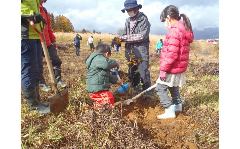 【津南町森林組合】まる1日津南体験（広葉樹植栽体験と秋野菜収穫体験）1名様