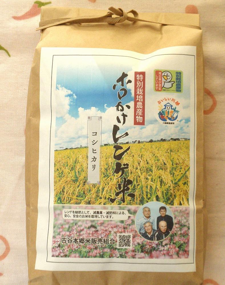 【令和6年度産】ホロかけレンゲ米　特別栽培米　10kg（コシヒカリ） ／ 無農薬 おこめ コメ 埼玉県