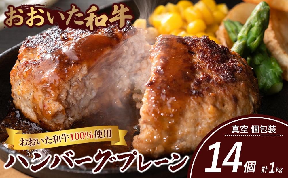 ＜おおいた和牛100％使用＞ハンバーグ プレーン 真空 個包装 14個 計約1kg