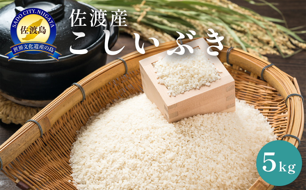 佐渡島産　こしいぶき　5kg　令和7年産