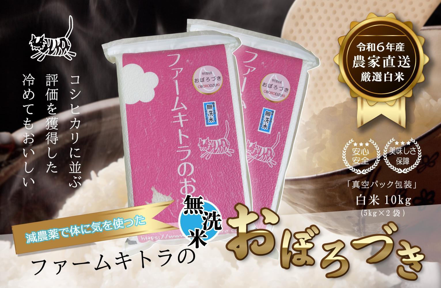 【減農薬で体に気を使った】令和6年産　おぼろづき無洗米5kg×2