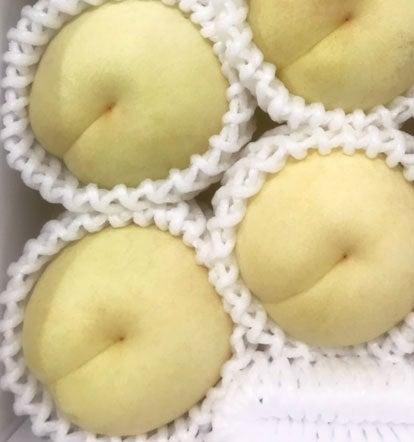 岡山県産&nbsp;冬桃がたり&nbsp;３個入り（約600ｇ）