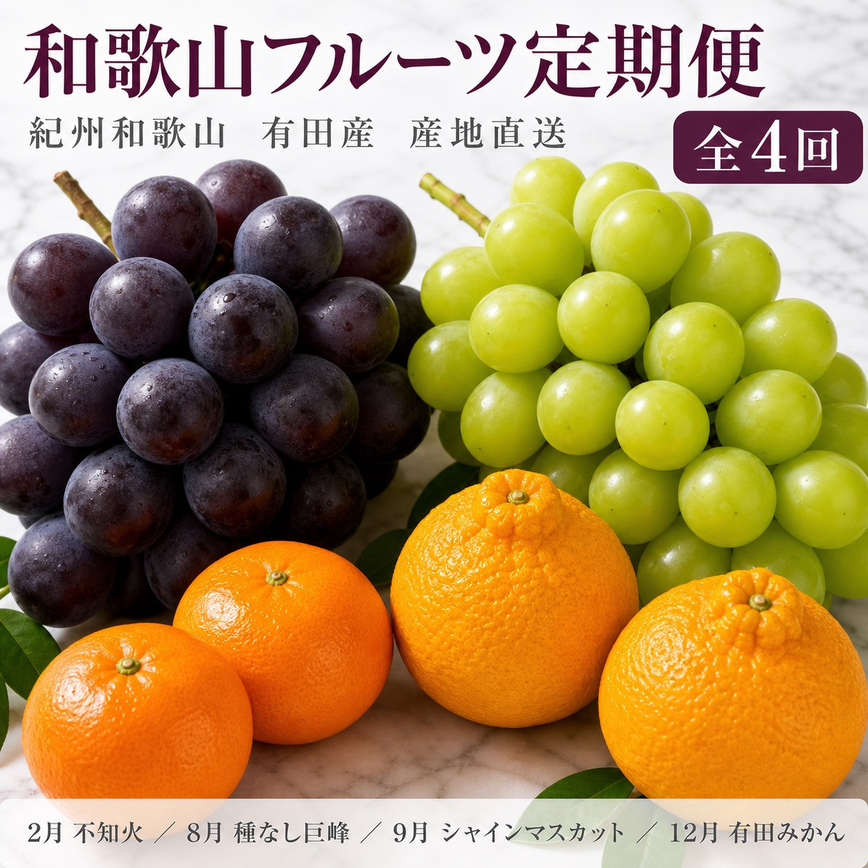 【2・8・9・12月&nbsp;全4回】紀州和歌山産旬のフルーツセット（巨峰・シャインマスカット・みかん・不知火）&nbsp;定期便