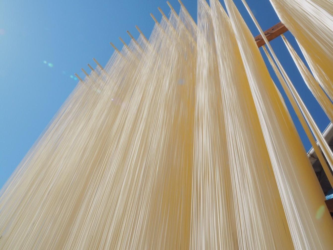 小豆島 手延素麺「瀬戸の風 黒帯」 2kg(50g×40束) | JTBのふるさと納税 