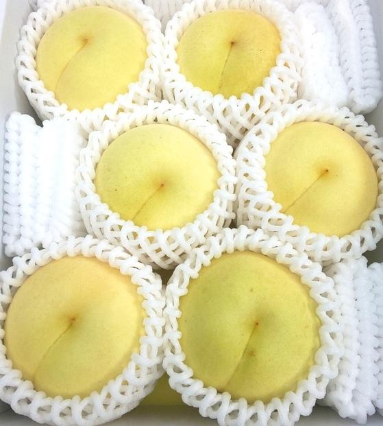 岡山県産&nbsp;冬桃がたり&nbsp;6個入り（約1200ｇ）